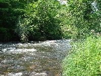 West Branch Farmington River