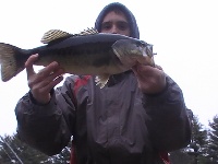 starting to see ice a lot but bass are still biting! 11/27
