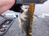 mirror lake Fishing Report