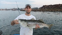 Commercial Striper Fishing