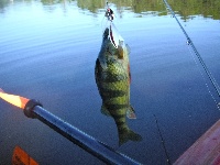 Canton Reservoir 6/24/2012 Fishing Report