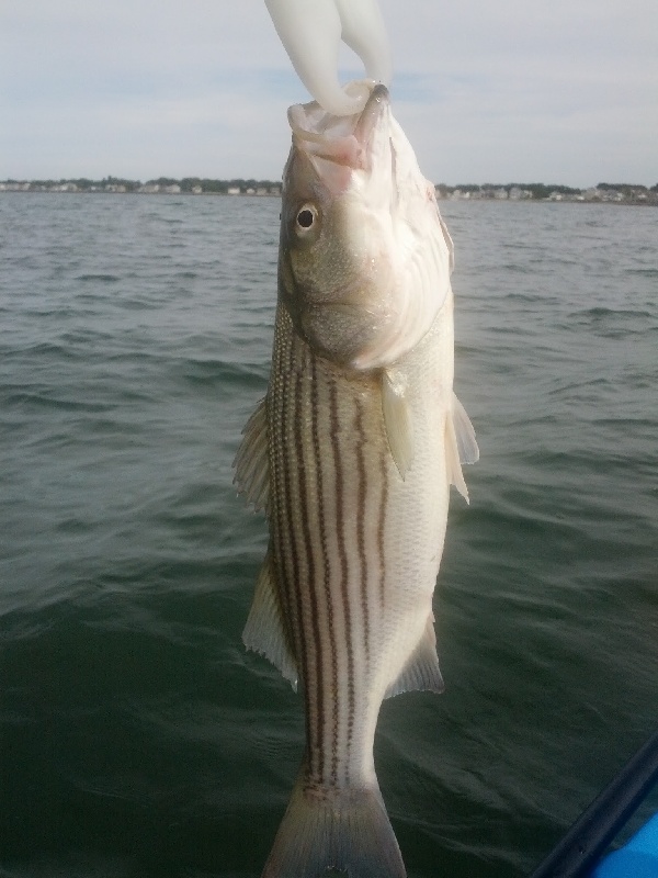 Quincy fishing photo 1