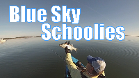 Blue Sky Schoolies Fishing Report