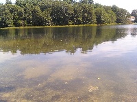 Kingsbury Pond