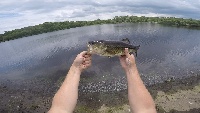 Tack Factory Pond Fishing Report