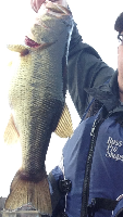 Whitmans Pond 3/13/16 Fishing Report