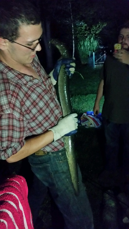 Buddy caught this in Hudson, MA