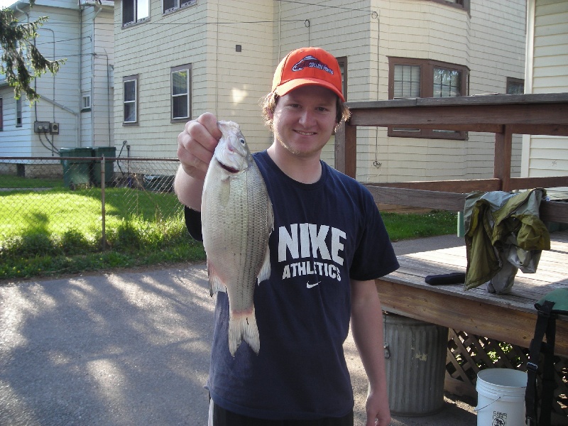 white bass