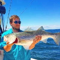 p-town stripers Fishing Report