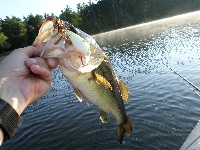 West Waushaccum Pond