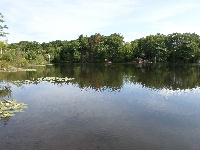 South Meadow Pond - 8-16-2014 Fishing Report