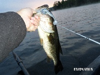 7-4-2015: Tully Lake Fishing Report
