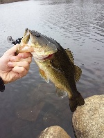 First Bass' of 2k14 Fishing Report