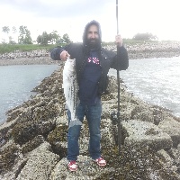 31" Striped bass  Fishing Report