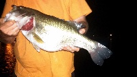 Rare night fishing trip for Team Northshore