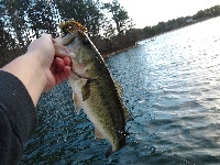 Cold water bassin