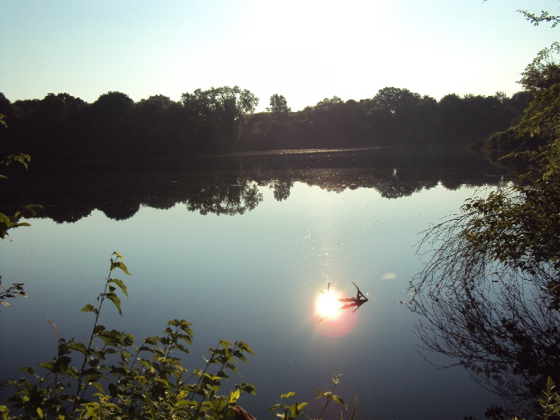 first pond near Dighton