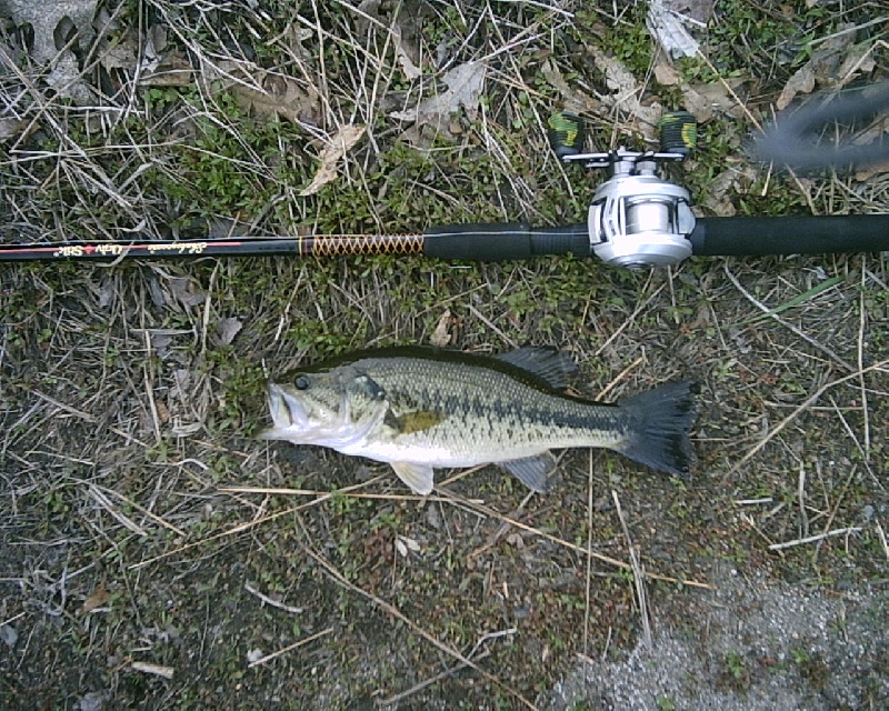 5-8-08 - Lake Maspenock - 1st of 12 fish