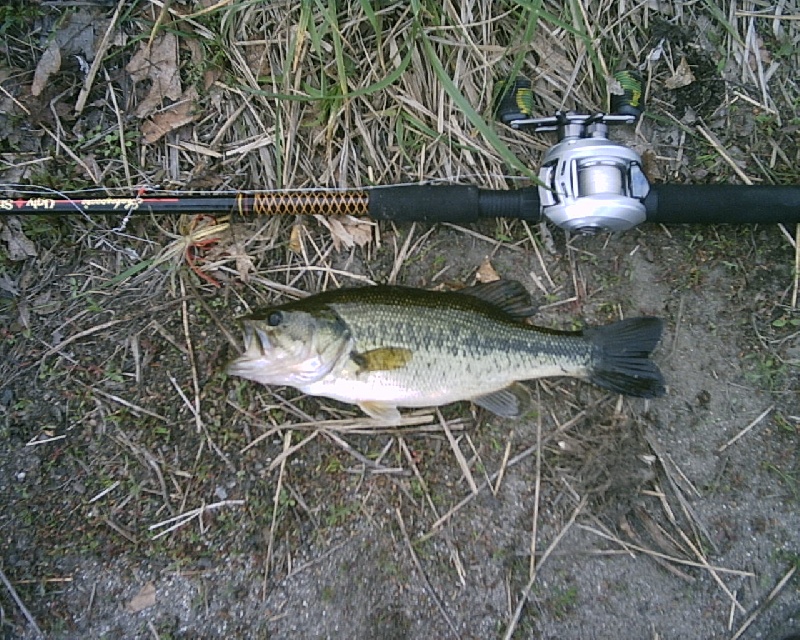 5-8-08 - Lake Maspenock - 3rd of 12 fish