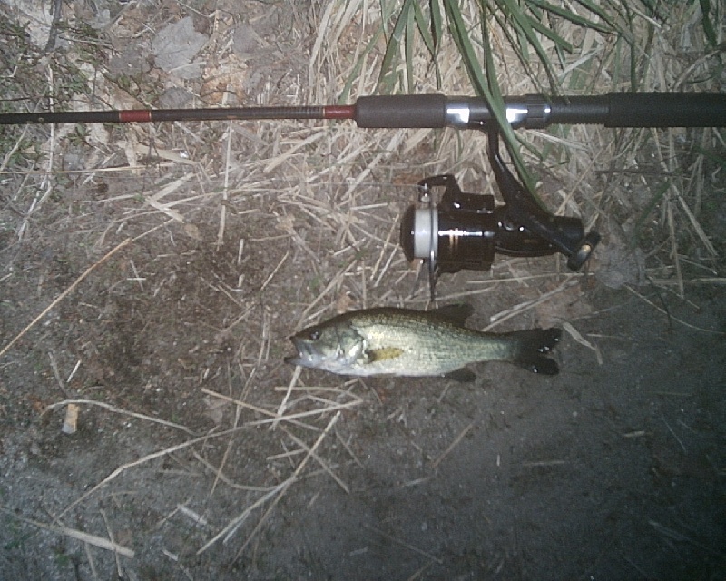 5-8-08 - Lake Maspenock - 12th of 12 fish