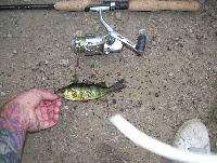 7/20/09 - Danielson Pond - Medfield, MA Fishing Report