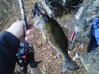 12/2/12 - December at the Honey Hole Fishing Report