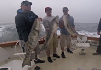 5/29/16 - Striper Trip W/ Triton Sportfishing