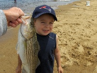 Stripers Fishing Report