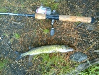06/21/09 - Fiske Pond - Natick, MA Fishing Report