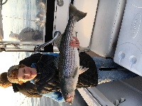 Amazing Striped Bass Fishing With Reel Deal Charters
