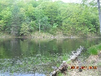 Cranberry Pond