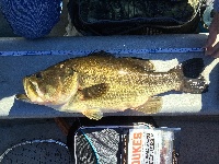 Lunker at my Spot!