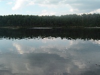 Ferrrings Pond