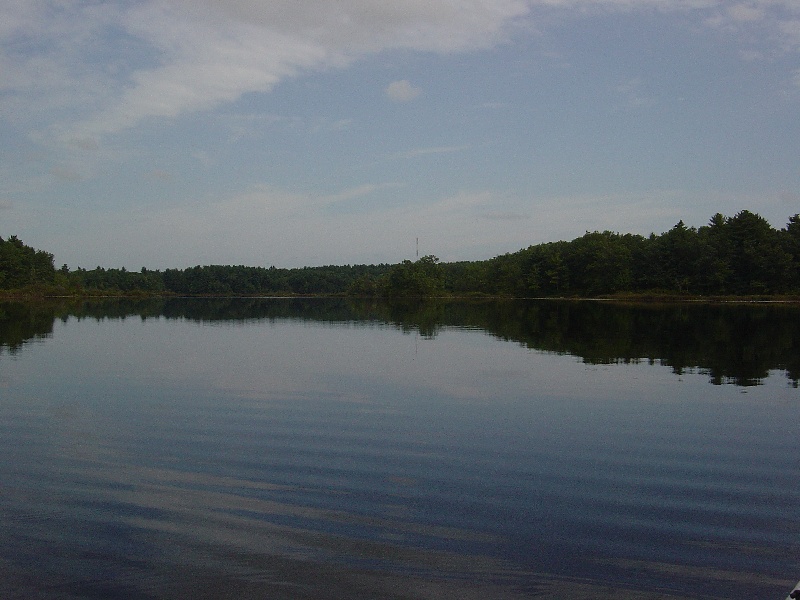 the pond near Bellingham