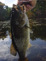 Foundry Pond Fishing Report