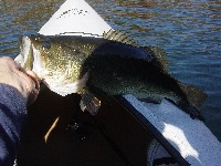 Fall in the Carver area Fishing Report