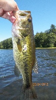 Canton res. sunday  Fishing Report