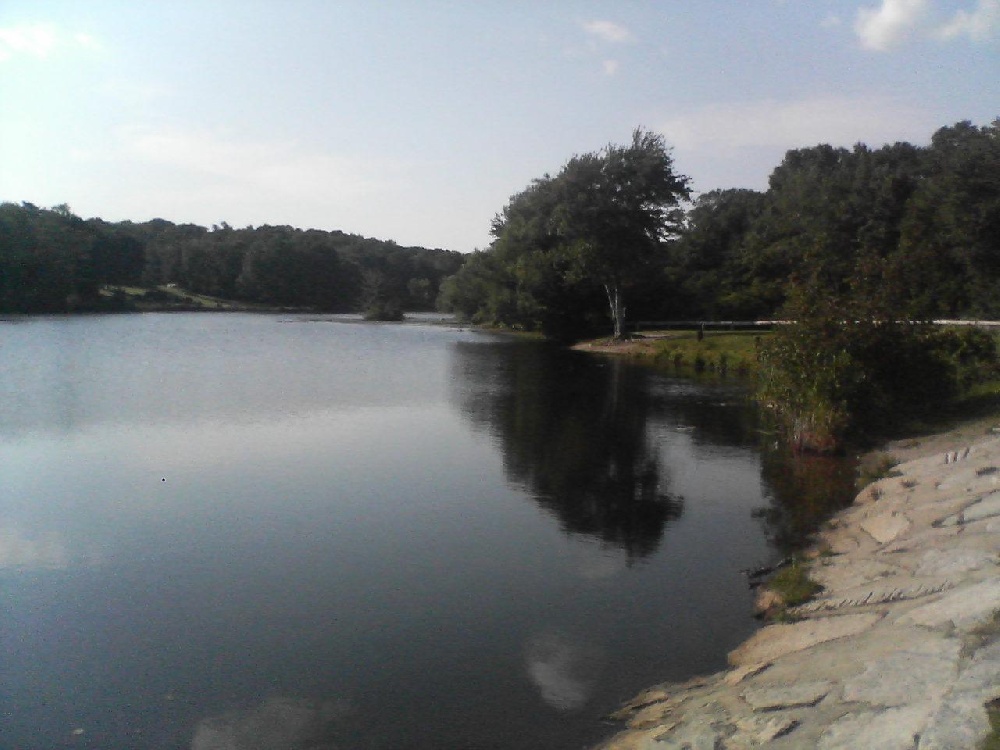 Louisa Lake near Milford
