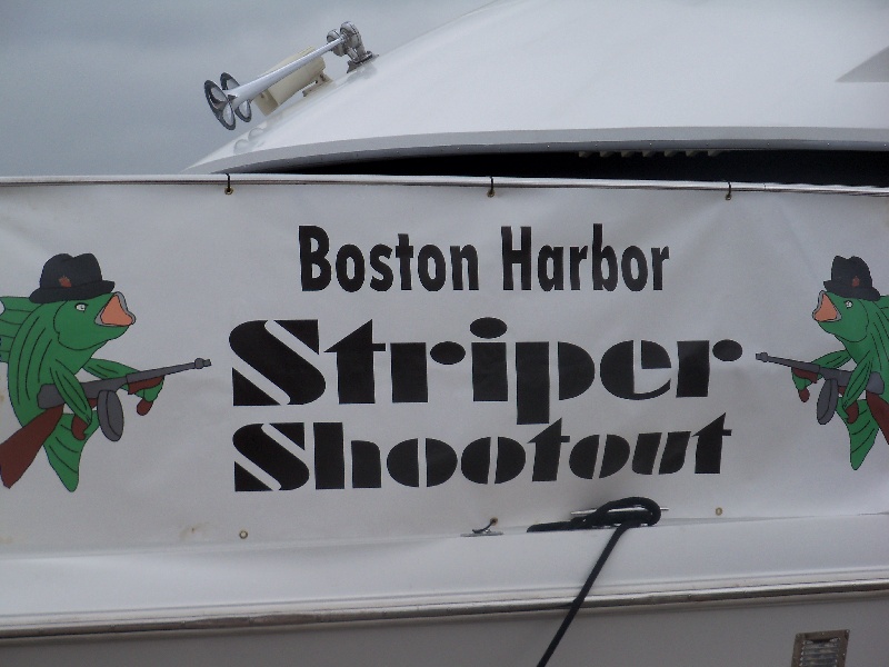 striper shootout 2012