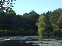 Spruce Pond