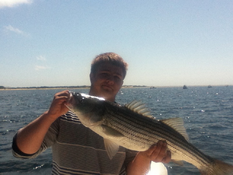 first fish near Provincetown