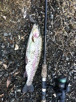 Spring Trout Fishing Report