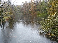 Assonet River