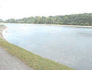 Brookline Reservoir 