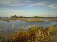 Burage Pond