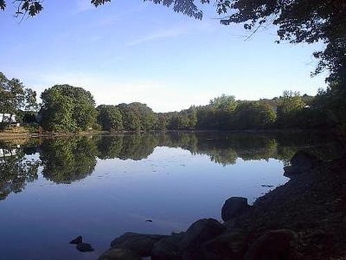 Fisherville Pond 
