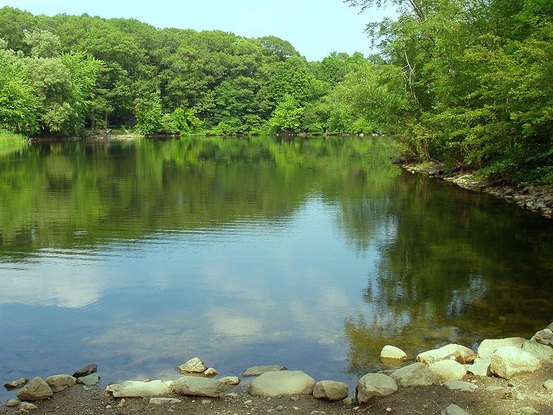 Hills Pond 