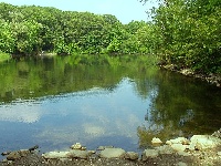 Hills Pond