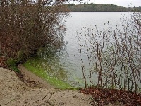 Santuit Pond