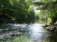 West Branch Swift River